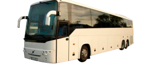 B12