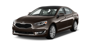 Cadenza