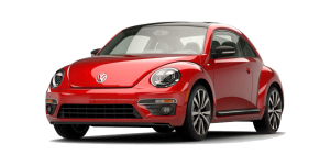 Beetle