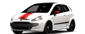 Punto Evo