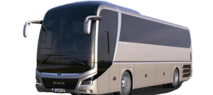 Lion Coach