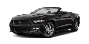 Mustang