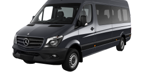 Sprinter