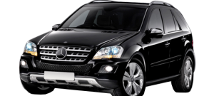 M class ML (W164)