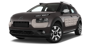C4 Cactus