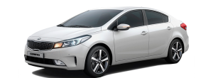 Cerato